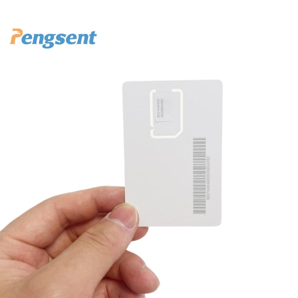 Pengsent Global sim card for GPS tracking device